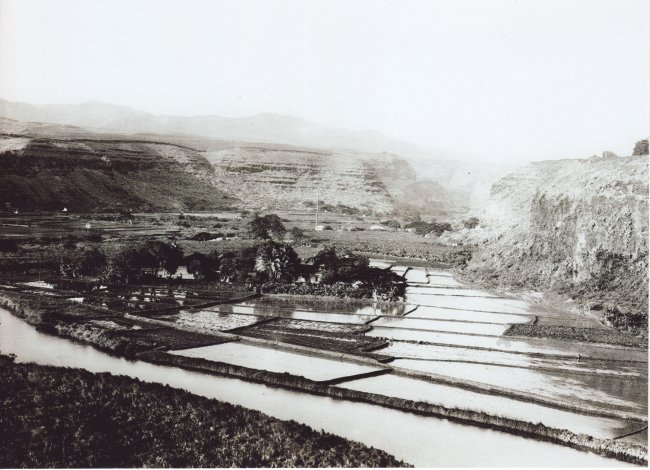 Hanapepe Valley