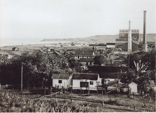 Kealia Mill and Village c. 1909